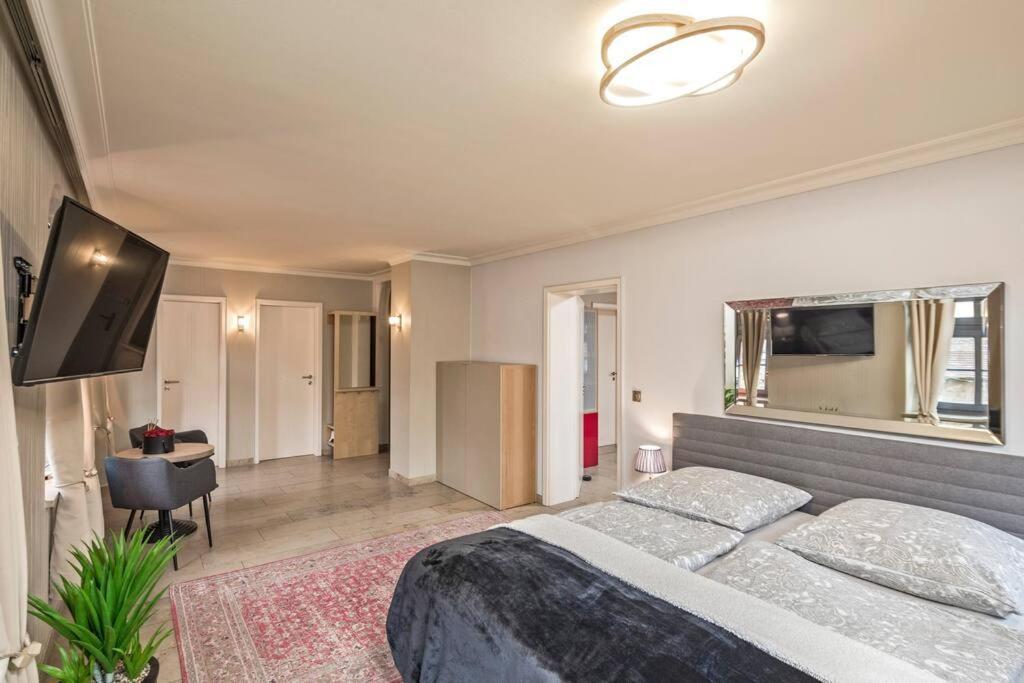 Cosel Palais Apartment Dresden